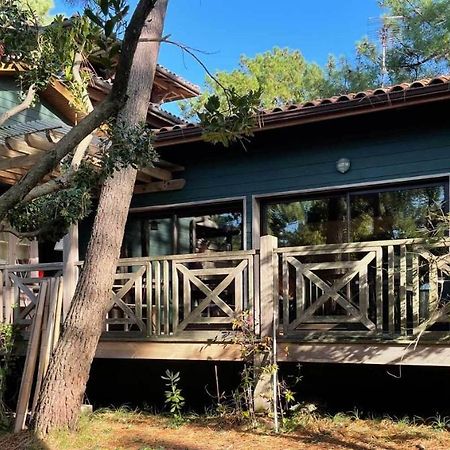 Yamina Lodge Lège-Cap-Ferret Extérieur photo